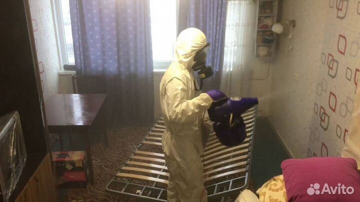 Средство для Уничтожения клопов Дезинсекции тараканов