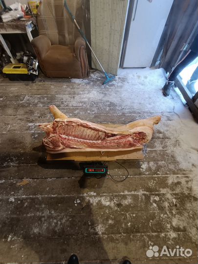 Продам мясо