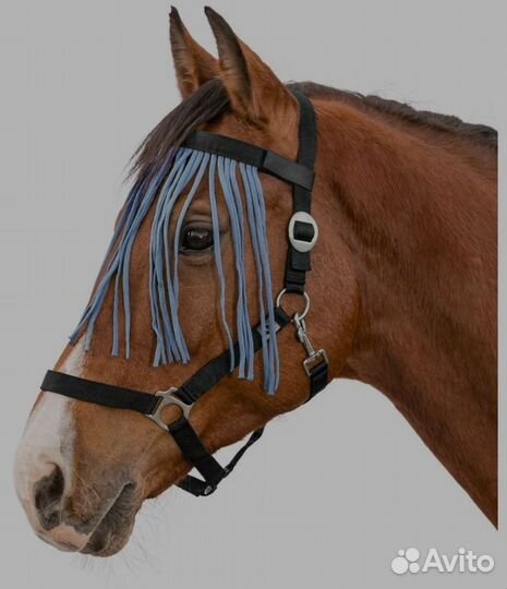 Налобник для лошади