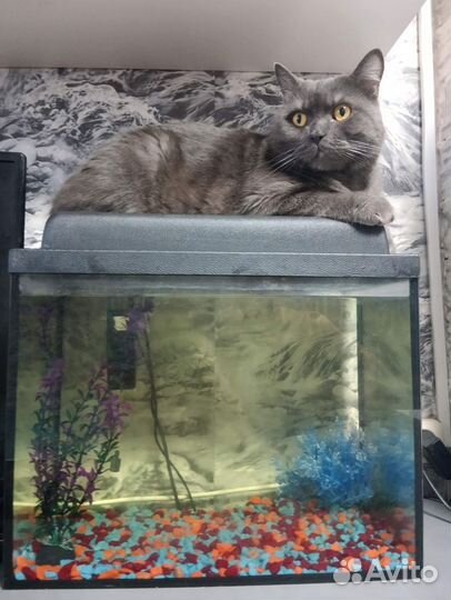 Аквариум 45 литров