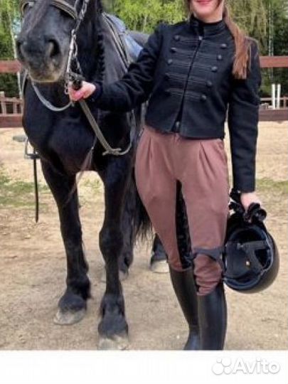 Бриджи для верховой езды галифе avanti