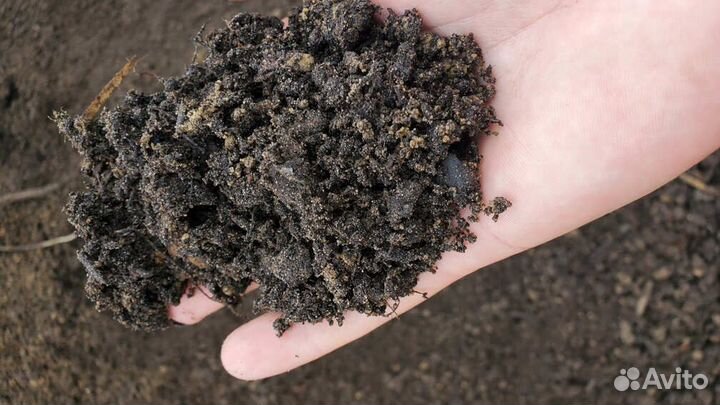 Торфогрунт