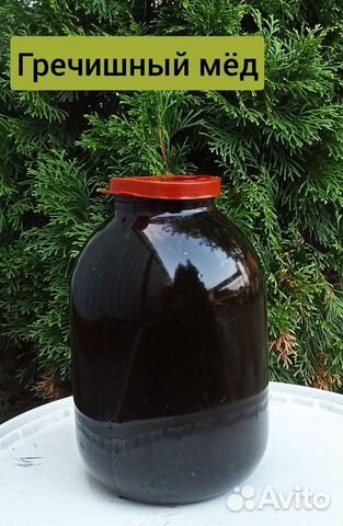 Мед гречишный 2023