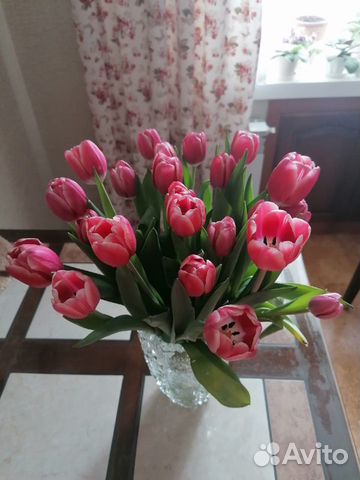 Весенний праздник день дам Тюльпаны