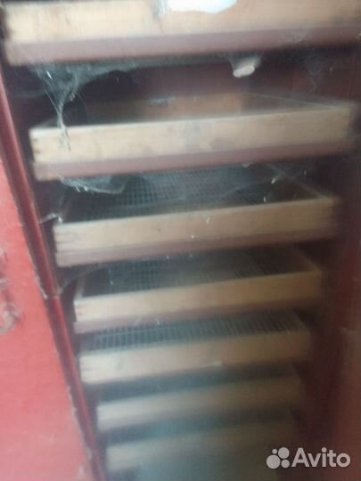 Инкубатор для яиц автоматический бу