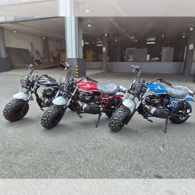 Trailmaster Hurricane 200x, 2026