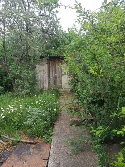 Дача 22 м² на участке 6 сот.