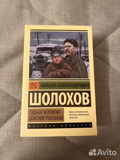 Книги Шолохов и Достоевский