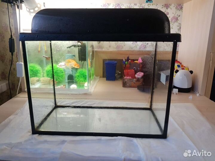 Аквариум
