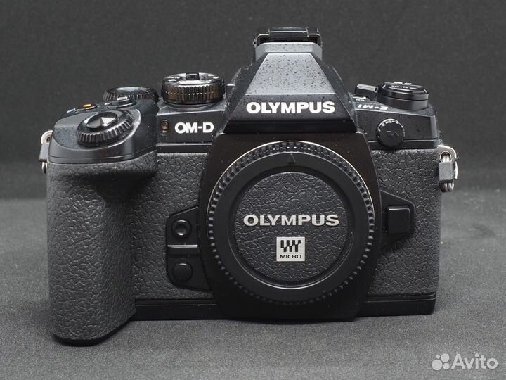 Olympus OM-D E-M1 + HLD-7