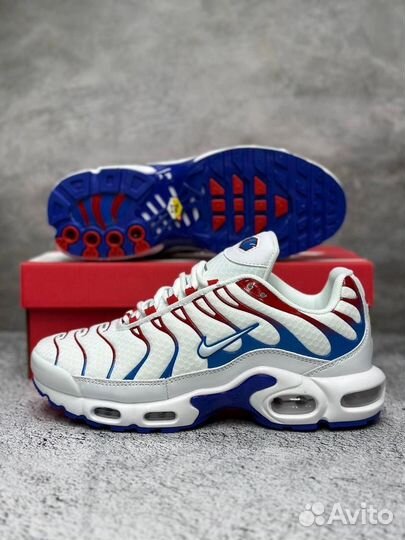 Кроссовки Nike air max tn plus