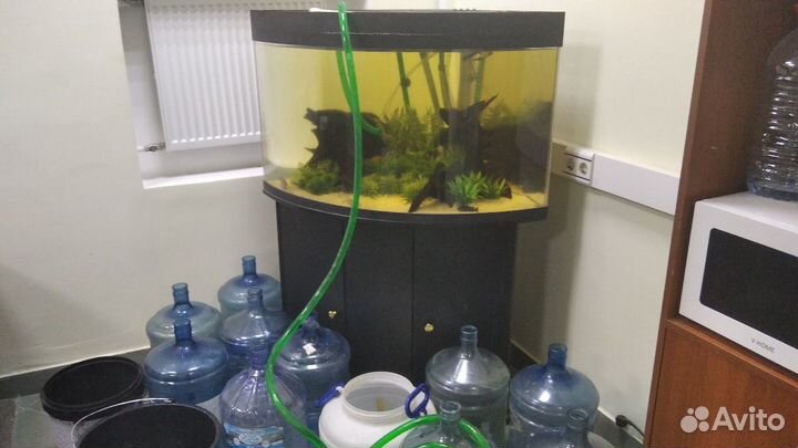 Перевозка аквариумов под ключ