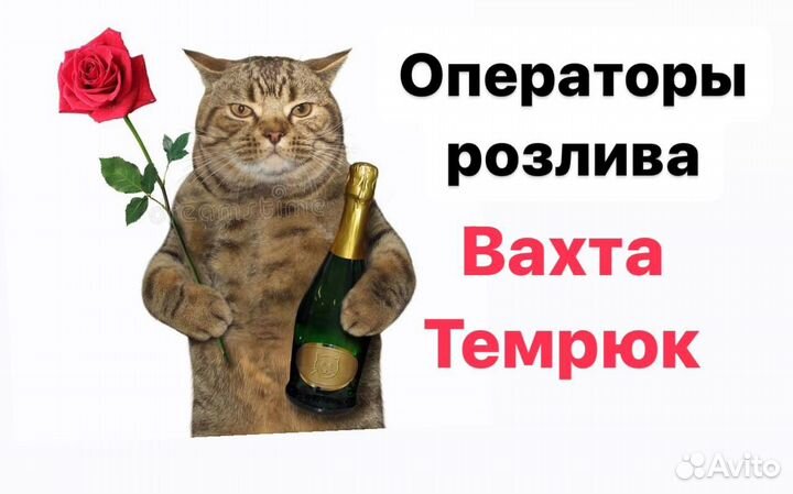 Операторы линии вахтой.Оплатим дорогу