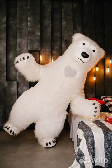 Поздравление Белого Мишки,Панды,Зайки