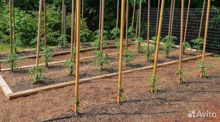 Опоры / колышки для сада и огорода / Вологда