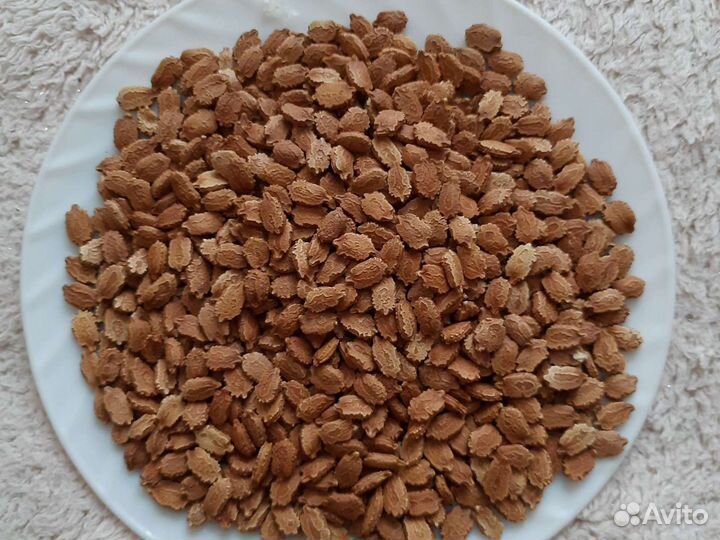 Момордика семена