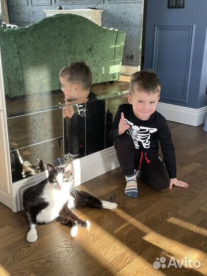 Дом работница и няня