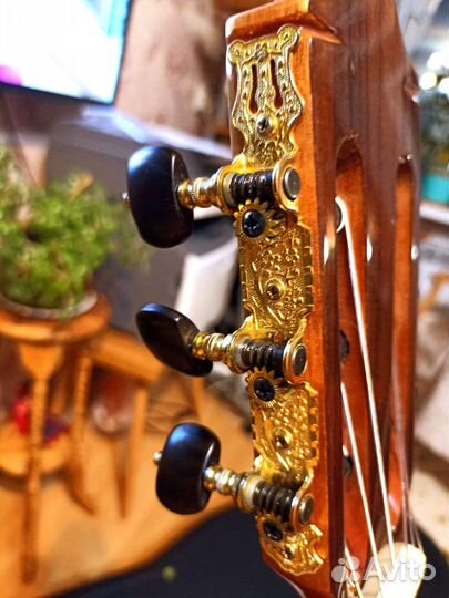 Классическая гитара из палисандра Испания