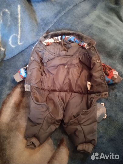 Одежда для маленьких собак, мальчиков