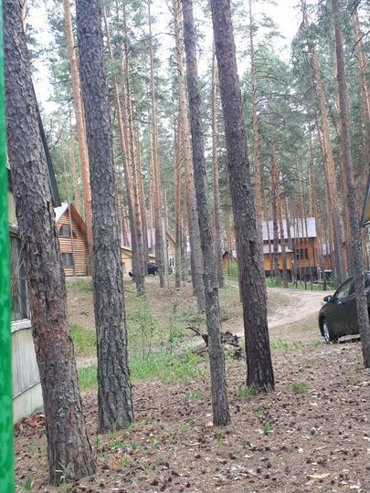 Участок 9 сот. (ИЖС)