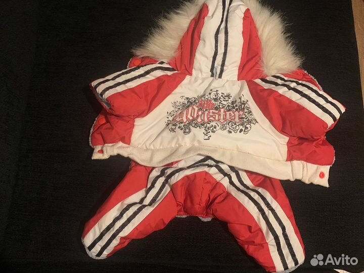 Одежда для маленьких собак