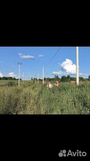Услуги геодезиста