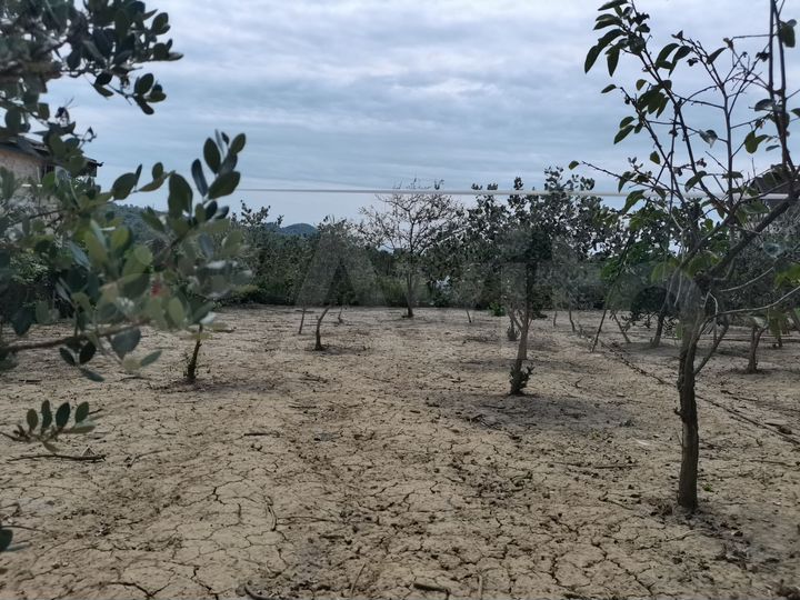 Участок 18,5 сот. (ИЖС)