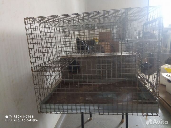 Клетки профессиональные для шиншилл