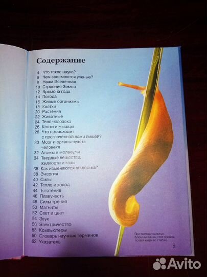 Энциклопедия для ребенка 