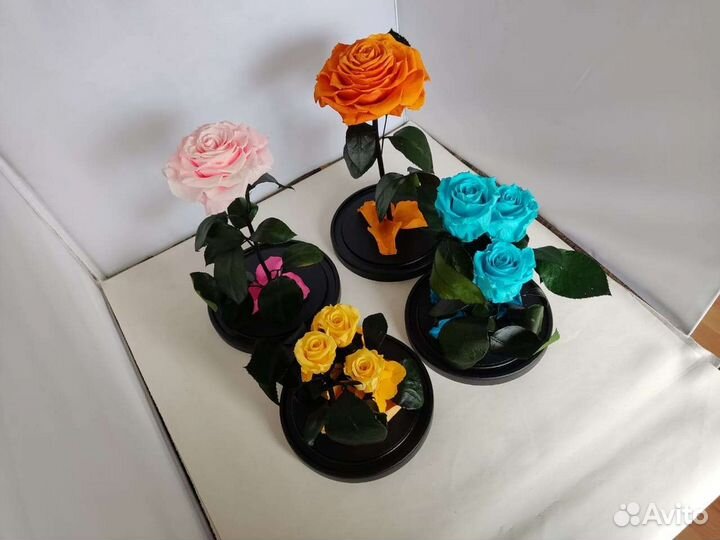 Роза в колбе