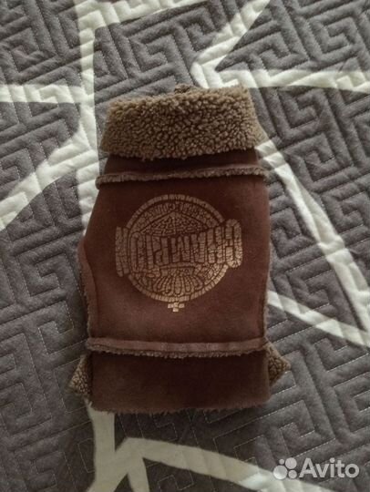 Вещи на маленькую собачку