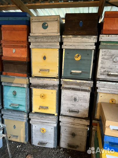 Ульи для пчел