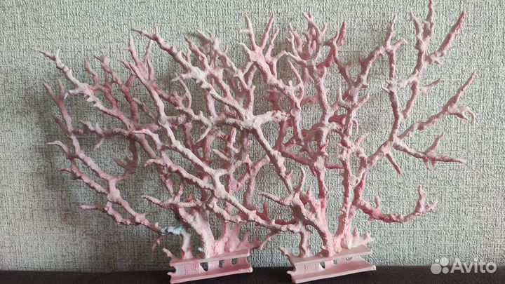 Кораллы для аквариума