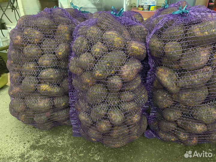 Продам картофель