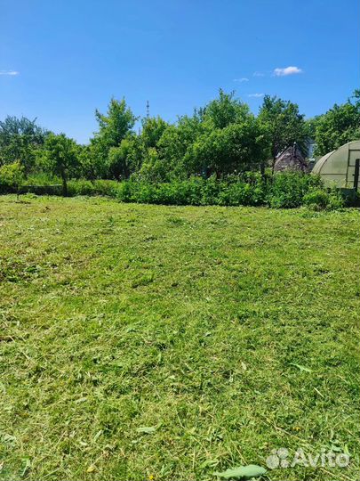 Покос травы