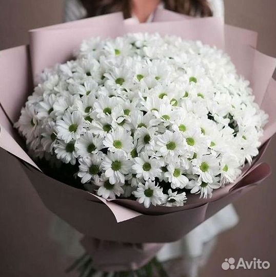 Хризантема Букеты с доставкой