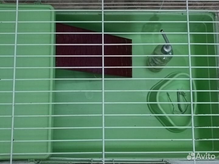 Клетка для кролика,Свинки