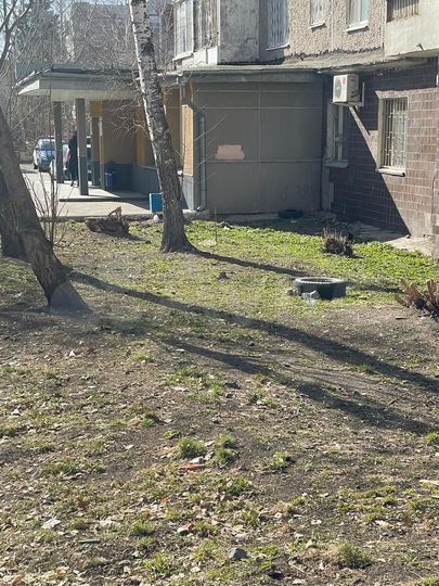 Свободного назначения, 322.7 м²