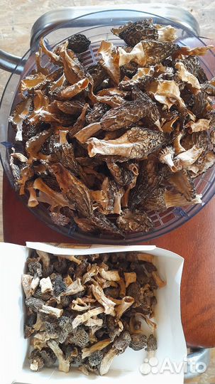 Сморчки и сморчковая шапочка сушёные