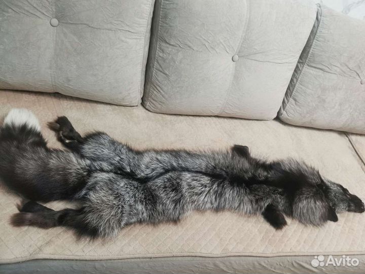 Мех лисы чернобурки