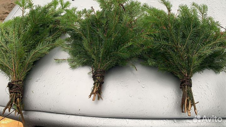 Веники для бани пихтовые