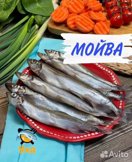Мойва свежемороженная