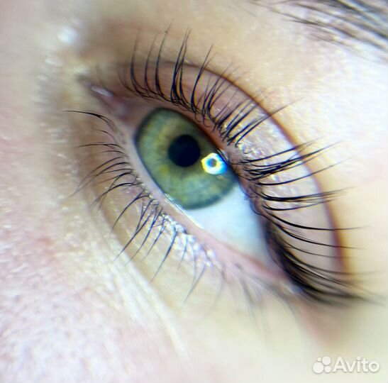 Вельвет/ламинирование ресниц, архитектура бровей