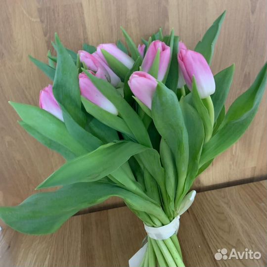 Сортовые тюльпаны бело-розовые 7 шт