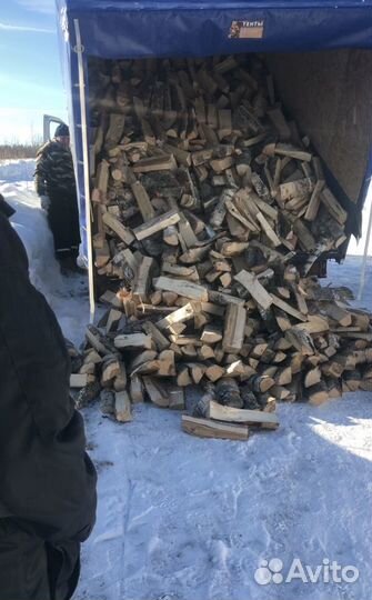 Дрова берёзовые