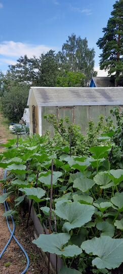 Дача 27,9 м² на участке 5,4 сот.