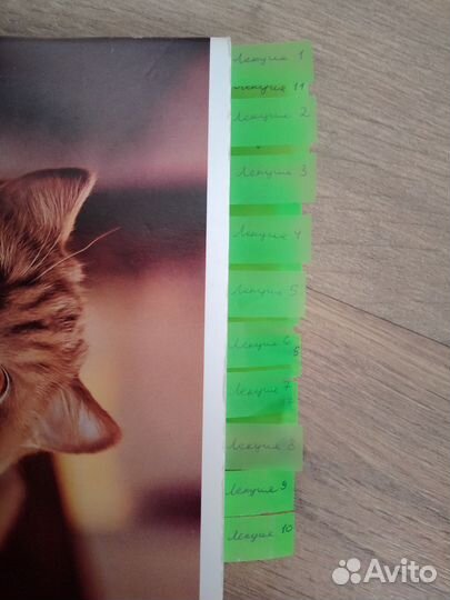 Тетради с лекциями по философии