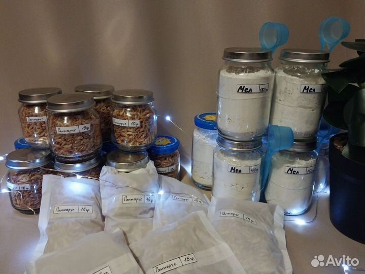 Товары для улиток