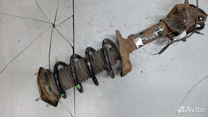 Амортизатор подвески Honda CR-V, 2013