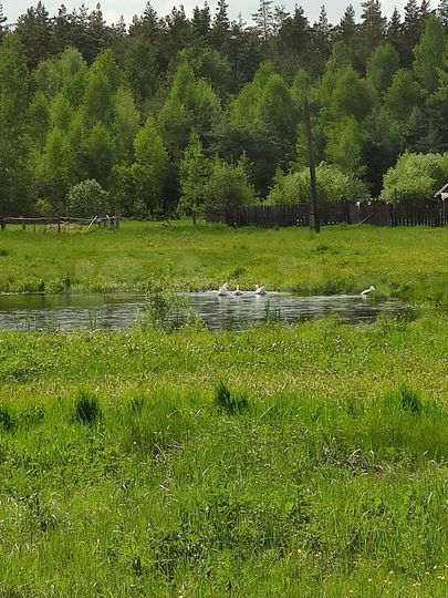 Дом 45,8 м² на участке 15 сот.